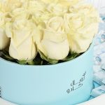 boy-royal-1-scaled-1.jpg