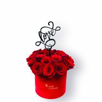 Valentine’s collection  #5