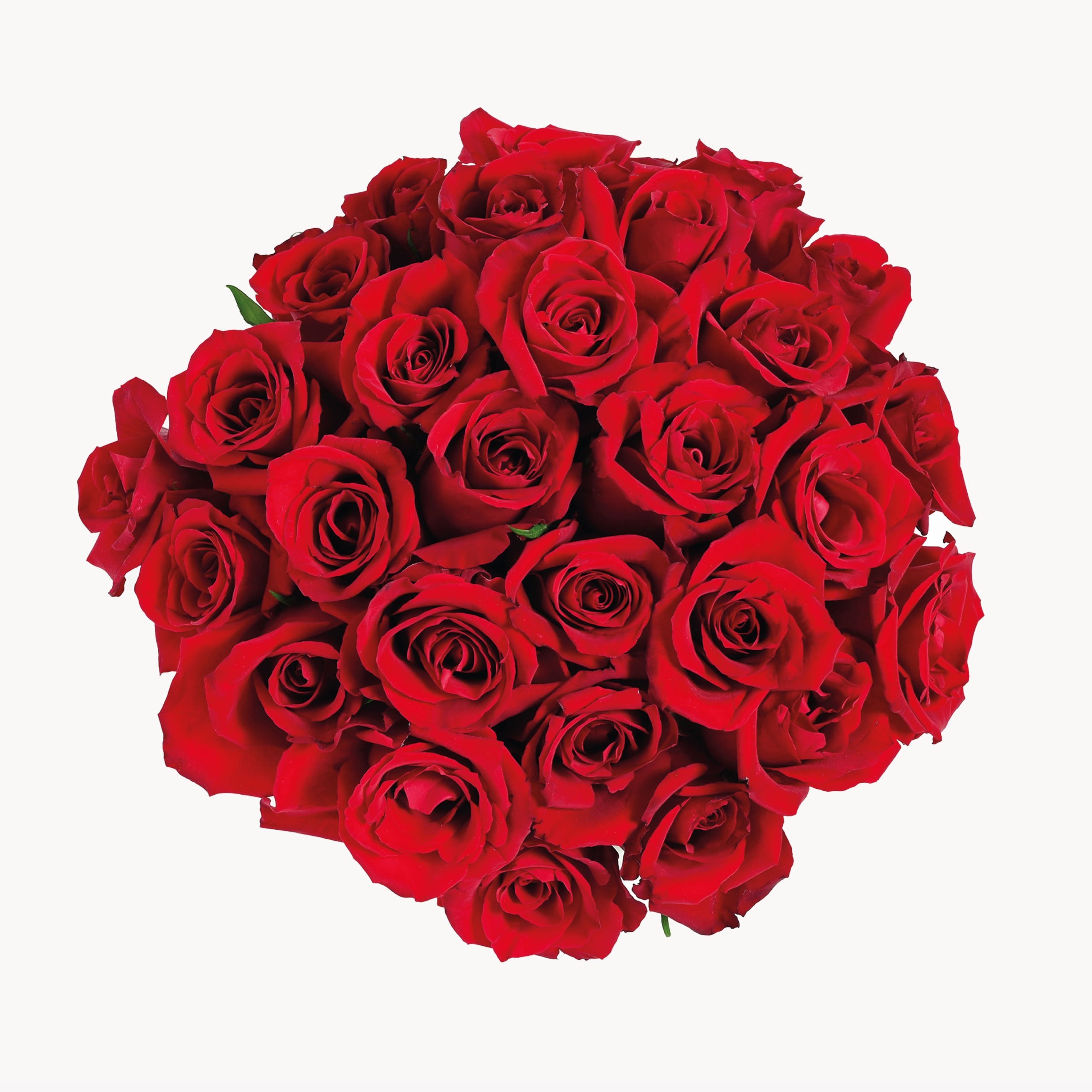 Blooms & Chocolate Elegance - Image 2